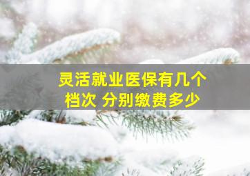 灵活就业医保有几个档次 分别缴费多少